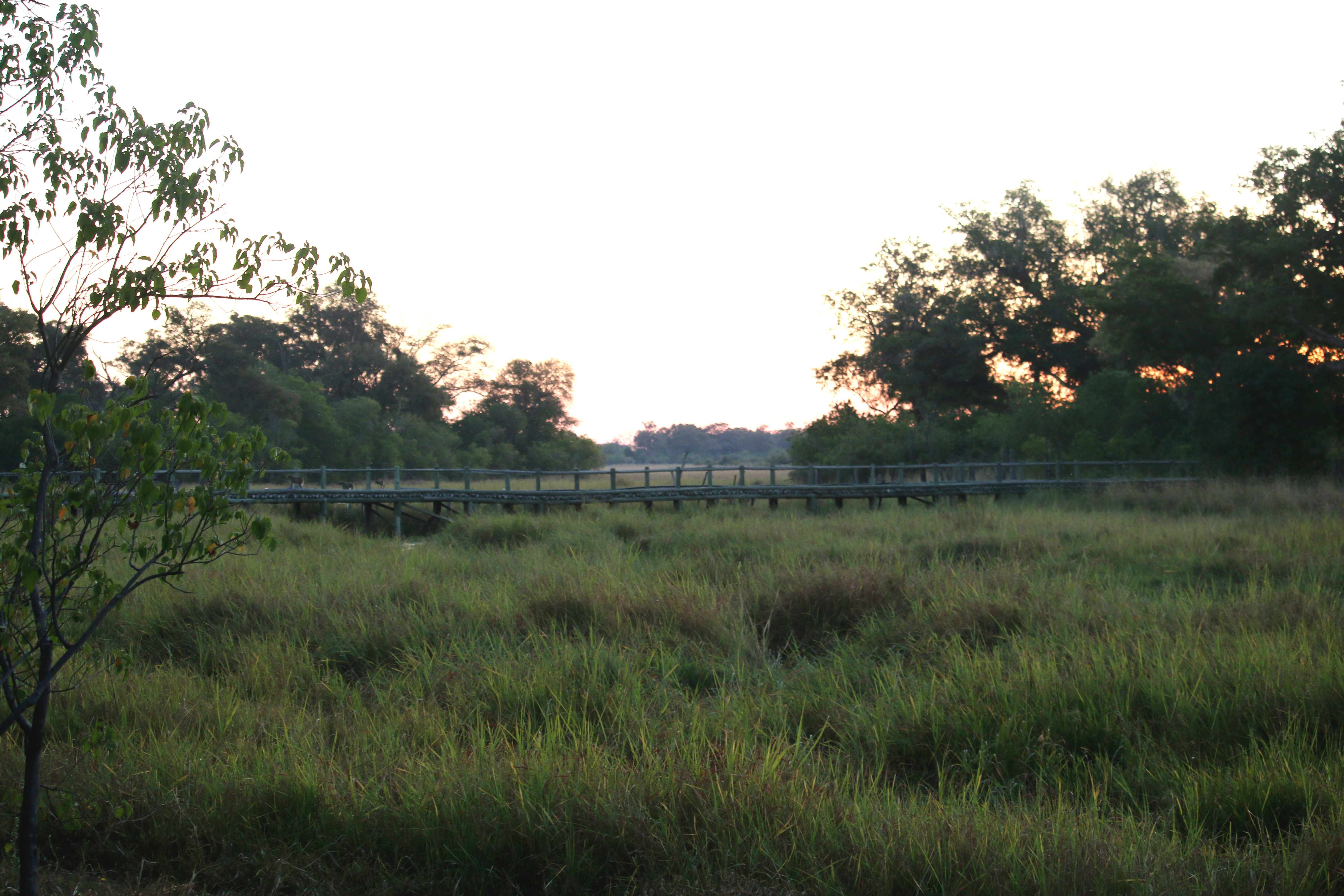 Beautiful view from camp site. The bridge also serves as a baboon highway. 