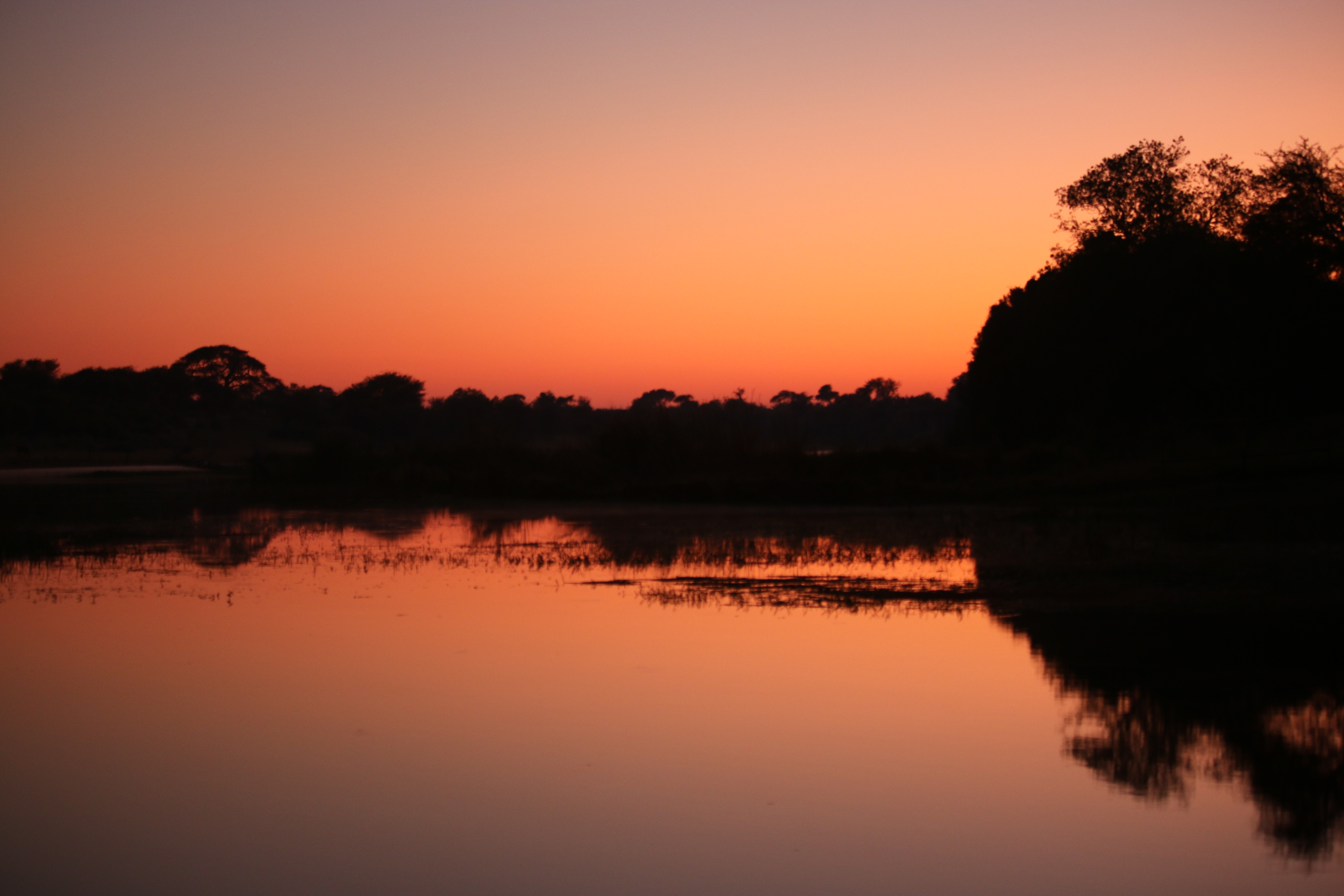 Colors typically seen at sunset. This is the breaking of dawn over the Boteti river.