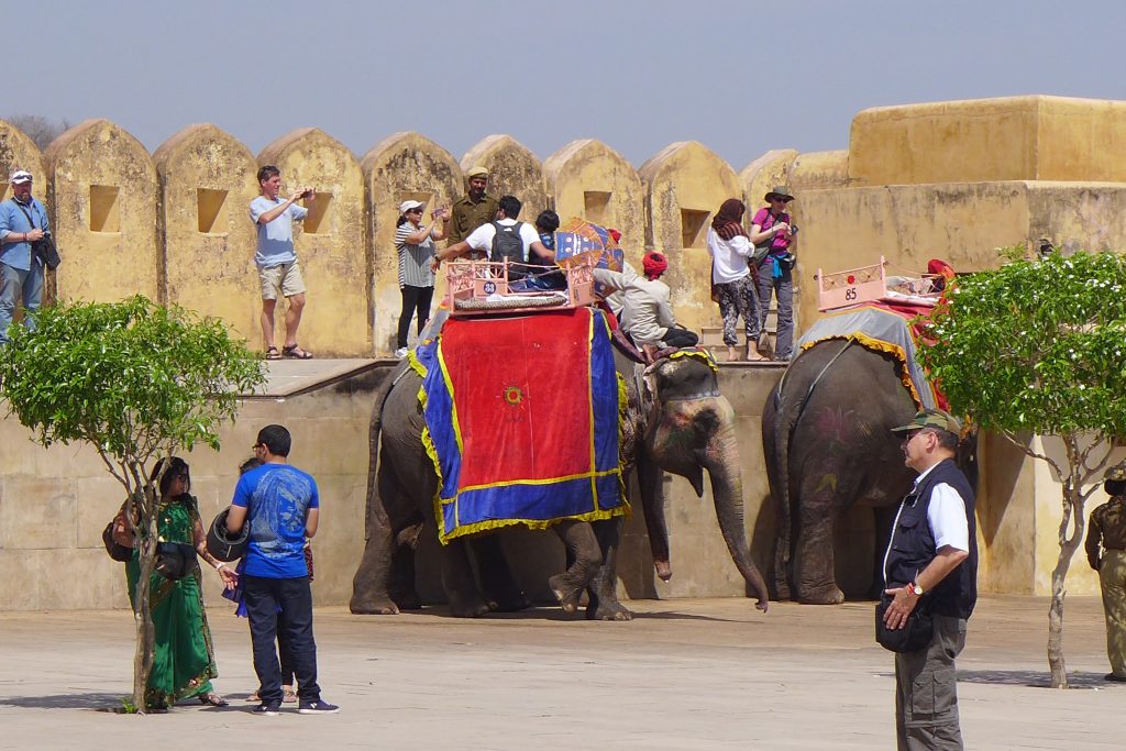 Arrival of tourists by elephant Amer Fort