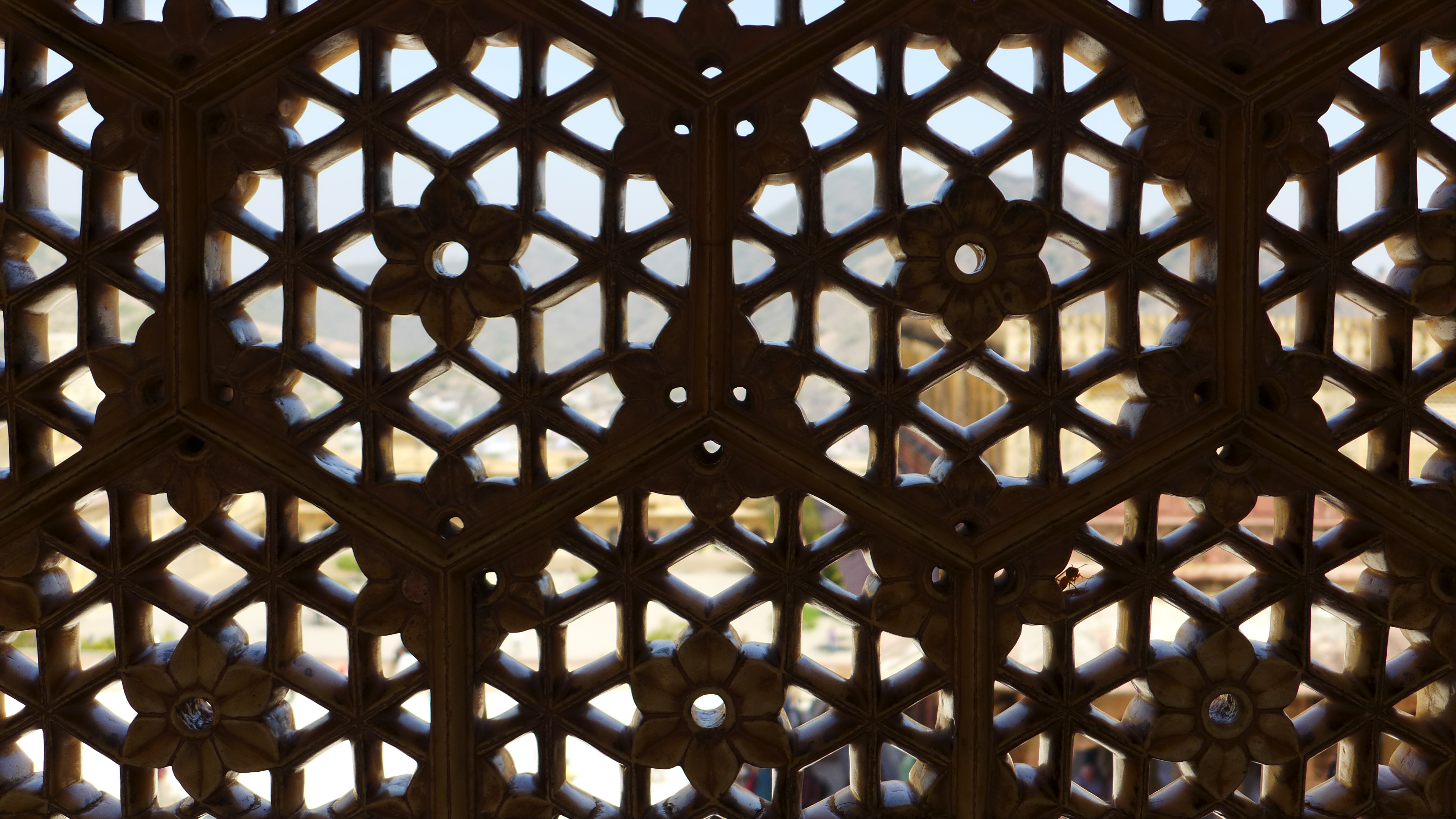 Detail of the Lattice Window screen detail shows they are carved from a thin slab of marble.